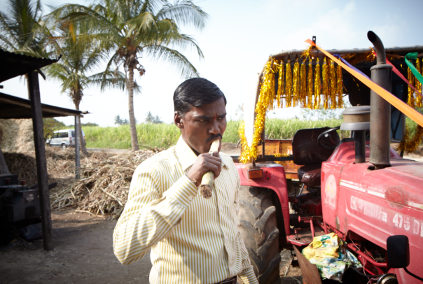Our driver going to town on some sugar cane.